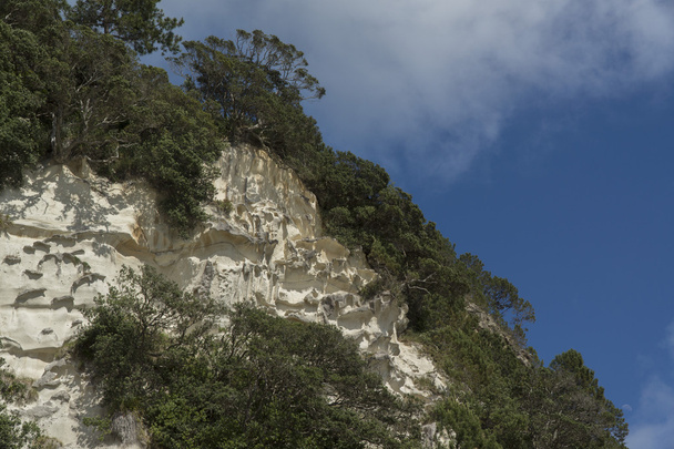 Mountain at Cathedral Cove beach. New Zealand - Photo, Image