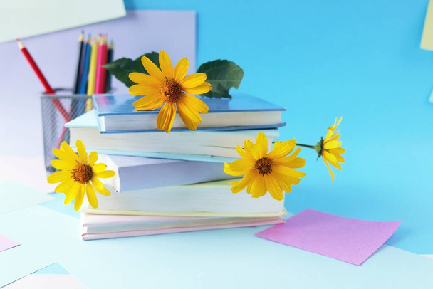 A stack of books with bookmarks from fresh chamomile flowers, on the background of note paper in pastel colors, the concept of education, back to school, reading, library, congratulation, postcard - Fotoğraf, Görsel