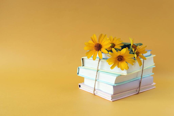 A stack of books with bookmarks from fresh chamomile flowers, on the background of note paper in pastel colors, the concept of education, back to school, reading, library, congratulation, postcard - Φωτογραφία, εικόνα