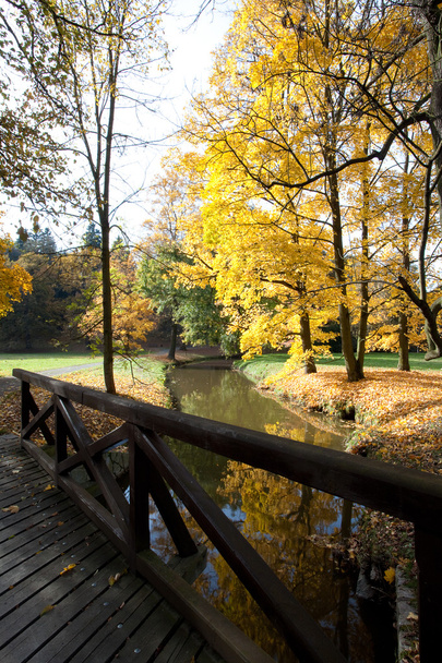 Creek and bridge in the autumn forest - Fotó, kép