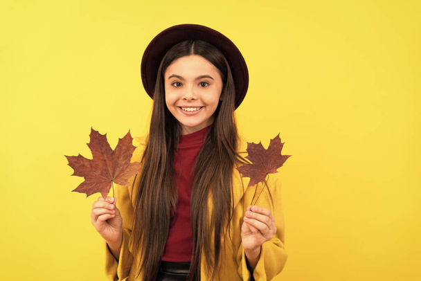 gelukkig tiener meisje in hoed en jas met herfst esdoorn bladeren op gele achtergrond, herfst. - Foto, afbeelding