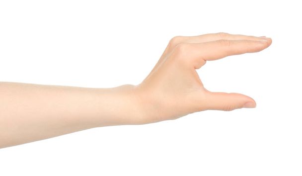 Woman hand shows virtual holding something, on white background close-up - Photo, Image