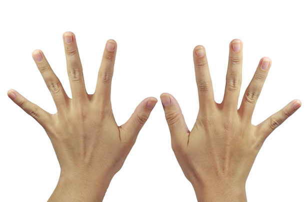 十本の指を見るとパームの分離 - 写真・画像