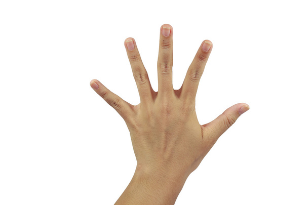 atrás da palma da mão com cinco dedo mostrar
 - Foto, Imagem