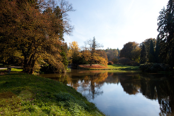 Beautiful autumn landscape with colorful trees and a pond - Fotó, kép