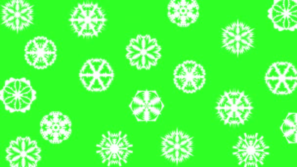 Kerstmis ander soort sneeuwvlokken, effect sneeuwval op een groen schermachtergrond. animatie. - Video