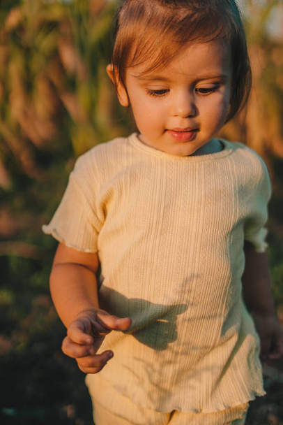 Kafkasyalı küçük şirin bir kızın portresi batan güneşin ışınlarıyla yıkanmış üzüm bağlarında mutlu bir şekilde koşuyor. Gülümseyen mutlu çocuk. Güzel portre. - Fotoğraf, Görsel