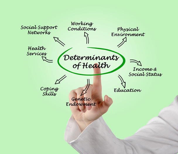 Determinants of Health - Photo, Image