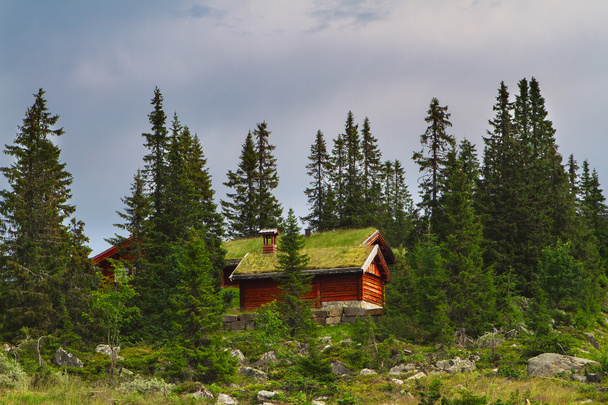Típica casa de vacaciones noruega, hytte
 - Foto, Imagen