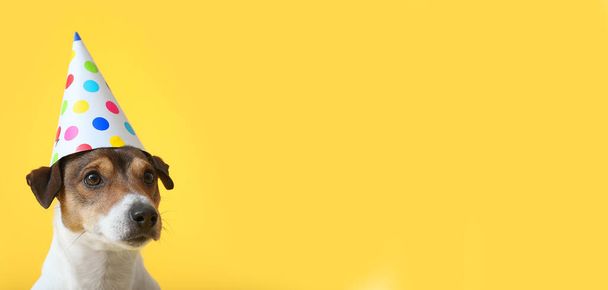Cute dog in birthday hat on yellow background with space for text - Photo, image