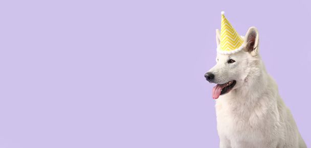 Cute white dog in party hat on lilac background with space for text - Photo, image