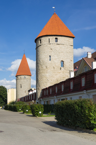 Towers of old Tallinn - Zdjęcie, obraz