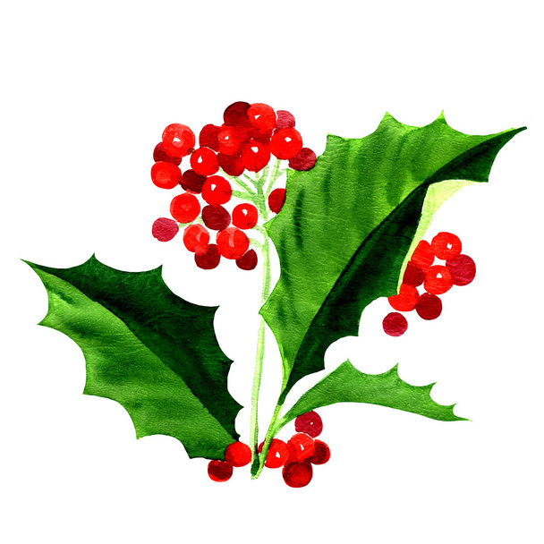 ヒイラギの果実アイコン、クリスマスのシンボル - 写真・画像