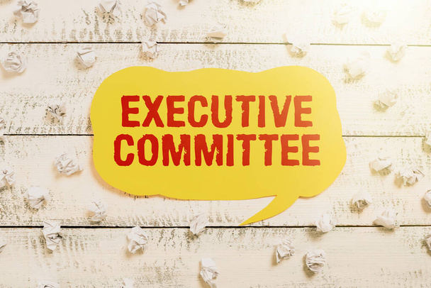 Assinatura de texto mostrando Comitê Executivo, Visão Geral de Negócios Grupo de Diretores nomeados Tem Autoridade nas Decisões - Foto, Imagem