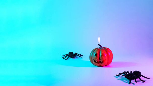 Halloween pumpkin. Black night spider, scary spooky pumpkin on night neon helloween background. Minimalistic background for autumn holidays. Space for text - Photo, image