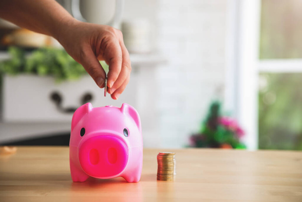 Hand putting coints into piggy bank saving money and money planning, financial concept - Photo, Image