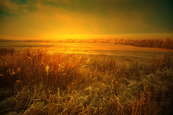 Pole ze suché trávy v popředí - krásné krajině na západ slunce, pomerančové tóny - Fotografie, Obrázek