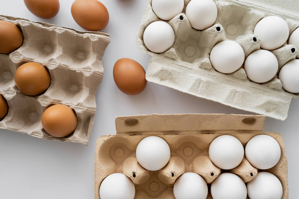 Vista superior de huevos y envases de cartón sobre fondo blanco  - Foto, Imagen