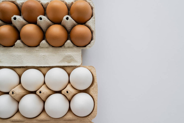 Vista superior de huevos de pollo frescos en cajas sobre fondo blanco  - Foto, imagen