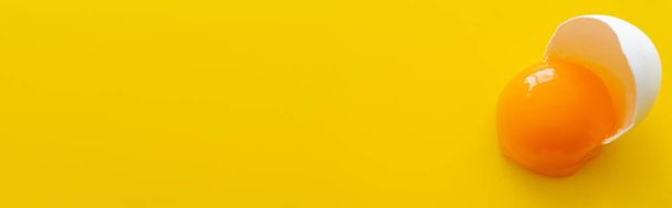 Vista ravvicinata del tuorlo d'uovo biologico in guscio su sfondo giallo con spazio di copia, banner  - Foto, immagini