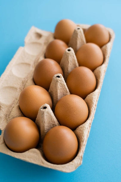 Органические куриные яйца в коробке контейнера на голубом фоне - Фото, изображение