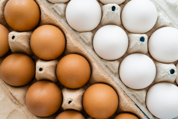 カートントレイの茶色と白の鶏の卵のトップビュー  - 写真・画像