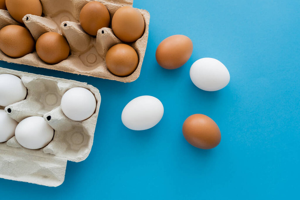 Top view of white and brown chicken eggs near carton containers on blue background - Photo, Image