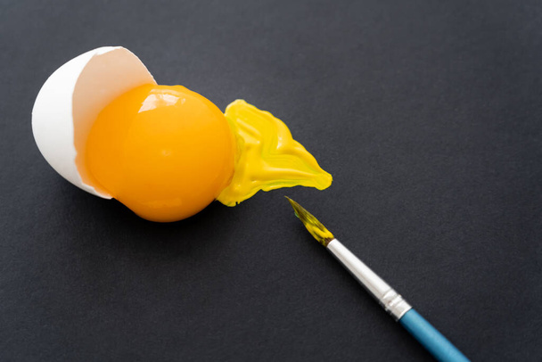 Yumurta sarısı yakınındaki boya fırçasının üst görüntüsü ve siyah arkaplanda kabuk  - Fotoğraf, Görsel