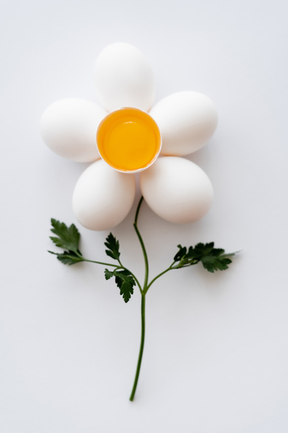Puesta plana con yema en cáscara y huevos cerca del perejil en forma de flor sobre fondo blanco  - Foto, Imagen