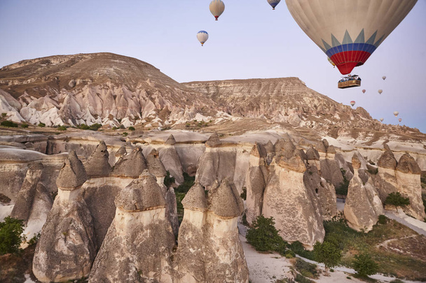 Balloons in rose valley, Cappadocia. Spectacular flight in Goreme. Turkey - Φωτογραφία, εικόνα