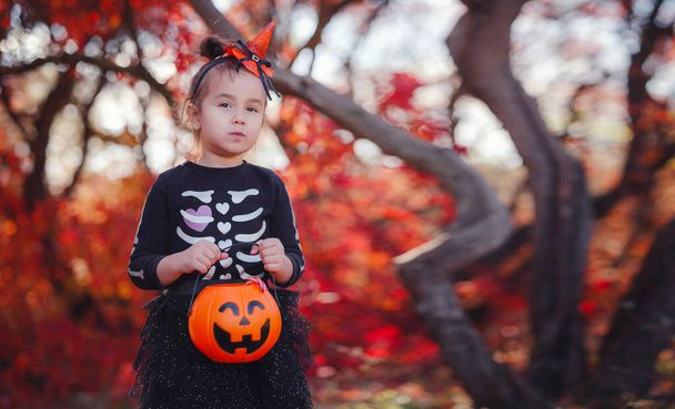 Young girl in black costume goes trick or treating. Little witch, Kids with jack-o-lantern. Children with candy bucket in fall forest. Happy Halloween. - Photo, image