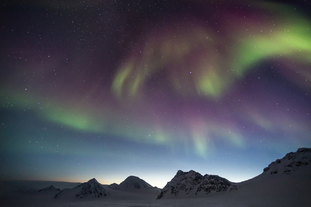 オーロラ ・北極圏の風景 - 写真・画像