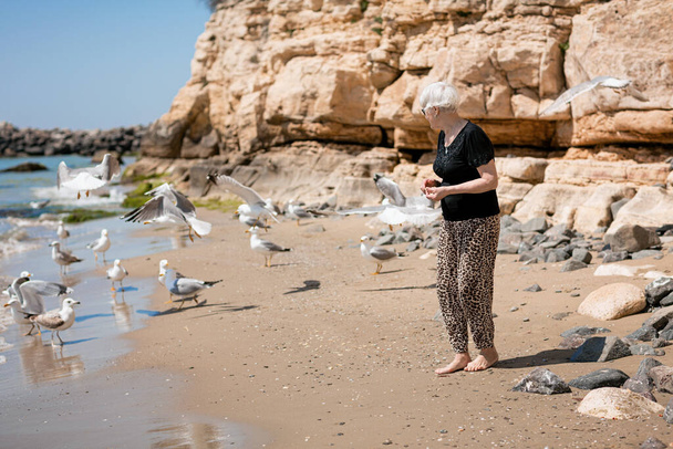 Senior woman in dark sunglasses feeds seagulls on the rocky beach. Happy life in retirement - Фото, зображення