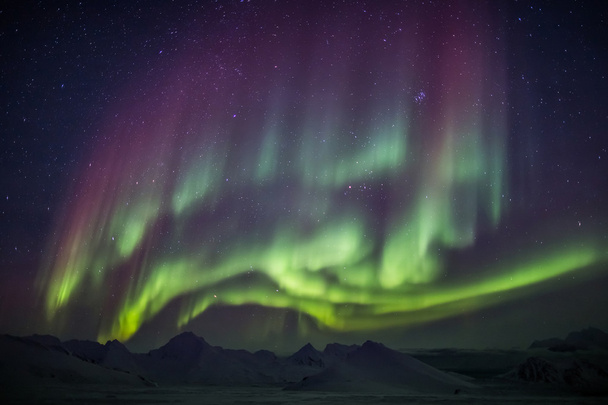 Güçlü kuzey ışıkları - Arktik manzara - Fotoğraf, Görsel
