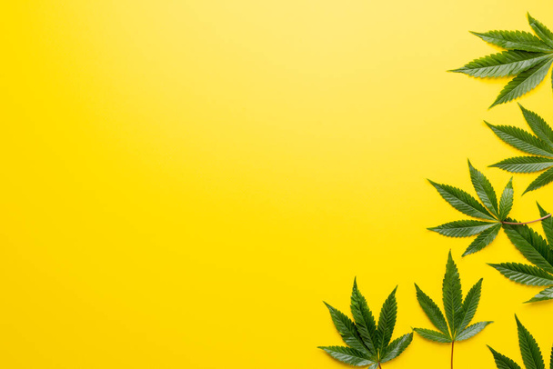 Image of marihuana leaves lying on yellow background. Cbd oil, medical marihuana, cannabis medicament concept. - Φωτογραφία, εικόνα