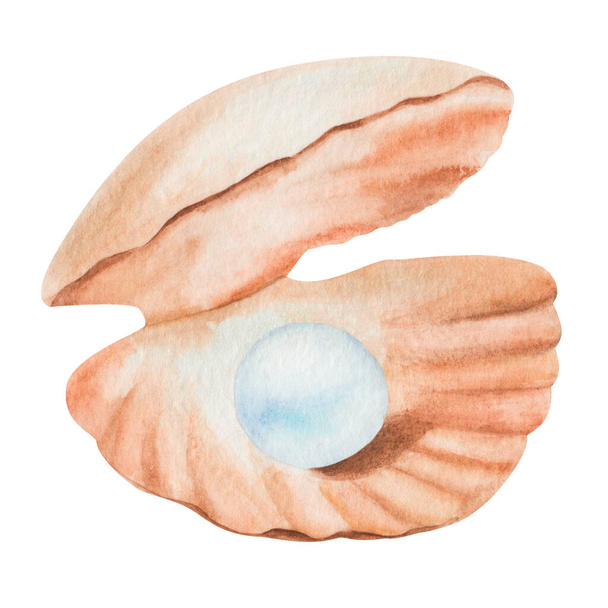 Illustrazione ad acquerello di conchiglia dipinta a mano in colore beige marrone con perle di gioielli blu all'interno. Animale oceanico isolato. La vita marina. Clip arte marina elemento spiaggia per cartoline estive - Foto, immagini