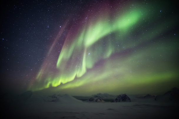 Luces septentrionales - Paisaje ártico
 - Foto, imagen