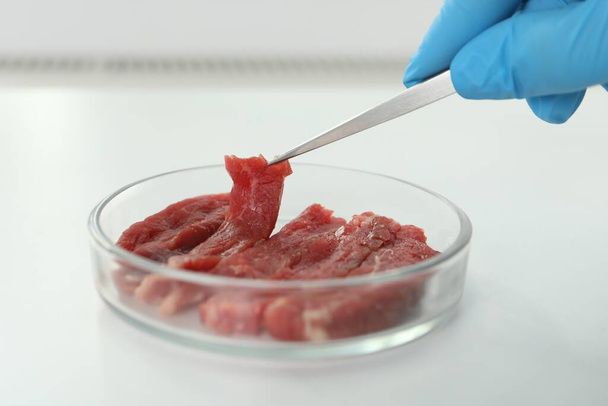 Scientist taking raw cultured meat out of Petri dish with tweezers at white table, closeup - Φωτογραφία, εικόνα