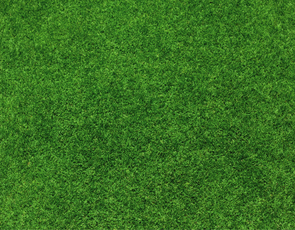 Green grass background vector - Vector, Image