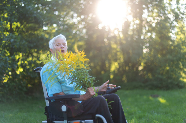 stará starší žena sedící na invalidním vozíku a držící kytici žlutých divokých květin - Fotografie, Obrázek