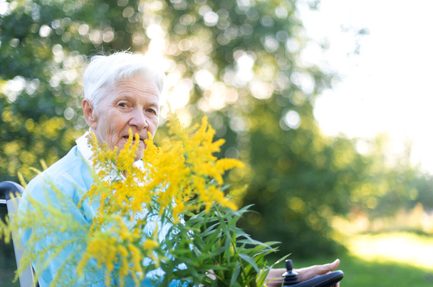 mulher idosa sênior sentado em uma cadeira de rodas e segurando um buquê de flores silvestres amarelas - Foto, Imagem