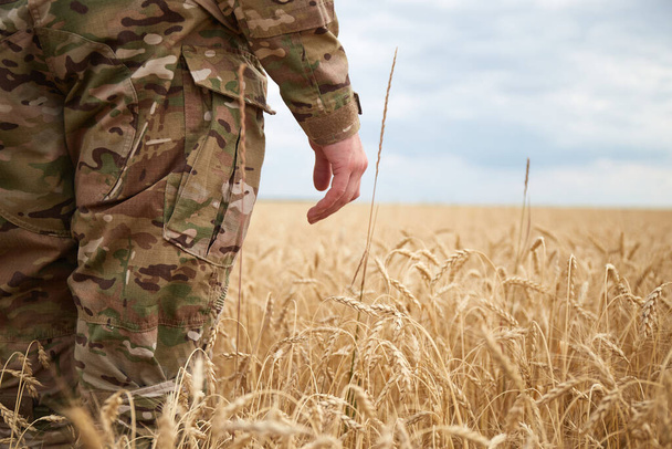 Ukrainian military man in wheat field. Ukrainian wheat fields and war upcoming food crisis. Armed Forces of Ukraine - Фото, изображение