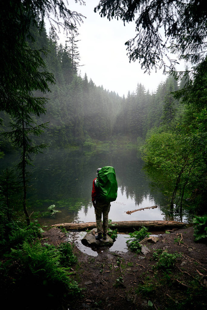 Bela natureza ucraniana. Homem turístico de pé hean floresta lago cercado com pinheiros. Cárpatos, Rosohan, Ucrânia - Foto, Imagem