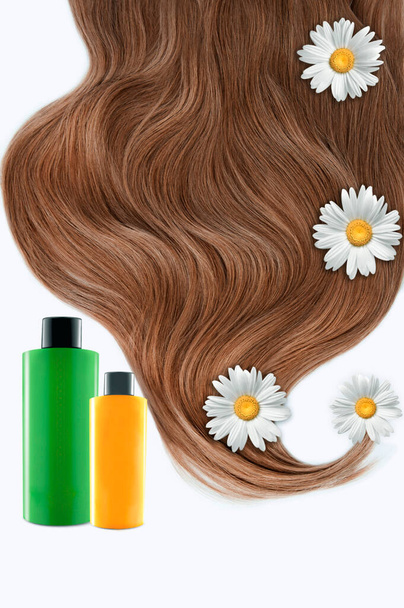 Kosmetik für Haare und Blumen für Haare auf weißem Hintergrund. Kamillenblüten auf dem Haar. Gesundes und schönes Haar. Haarpflege. Kopierraum für Text - Foto, Bild