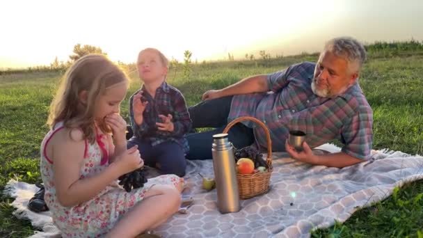 Οικογένεια με δύο παιδιά που κάνουν πικνίκ έξω. Γοητευτικά παιδιά τρώνε φρούτα, ενώ μικρό κορίτσι μοιράζονται σταφύλια με τον πατέρα στη φύση σε χρυσά φώτα του καλοκαιρινού ηλιοβασιλέματος. Κινούμενη βολή - Πλάνα, βίντεο