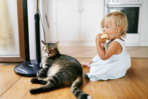 A menina come um pão sentado no chão ao lado de um gato caído. Foto de alta qualidade - Foto, Imagem