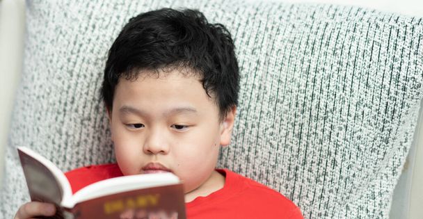 дитина читає книгу на дивані
 - Фото, зображення
