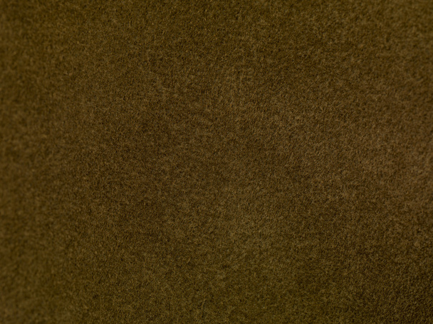 dark green carpet - Foto, Imagem