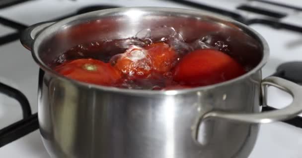 Detailní záběr rajčat vařících v horké vroucí vodě na plynových kamnech, připravujících lahodnou omáčku, bublající a stříkající vodu, kovovou pánev, černý gril, bílá kamna. Domácí pojetí potravin - Záběry, video