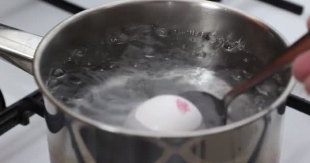 Lähikuva neljän valkoisen munan käyttöönotosta lusikalla puhtaaseen ja läpinäkyvään kiehuvaan veteen, mustaan grilliin, valkoiseen kaasulieteen, metalliastiaan. Kotiruokakäsite - Materiaali, video
